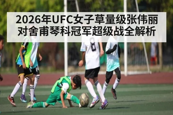 2026年UFC女子草量级张伟丽对舍甫琴科冠军超级战全解析